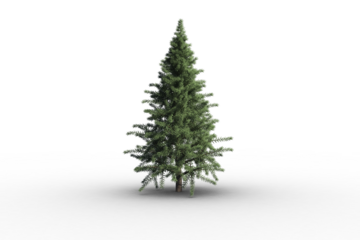 Digital png illustration of christmas tree on transparent background