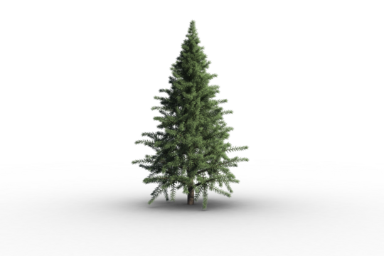 Digital png illustration of christmas tree on transparent background