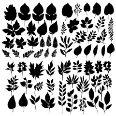 Autumn leave silhouettes