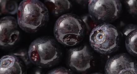 Close-up of blueberries as a background. Macro