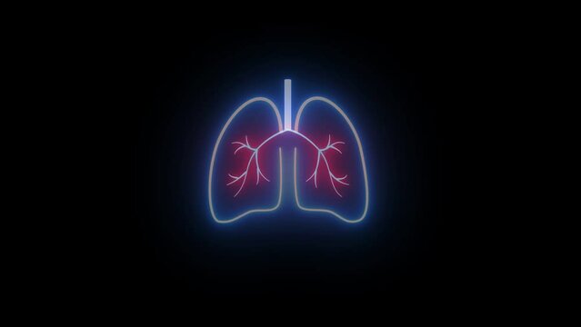 Glowing neon line lungs icon isolated on black background. 4K Video motion graphic animation. neon human Lung and kidney icon animation. The appearance of the neon glowing symbol lungs.