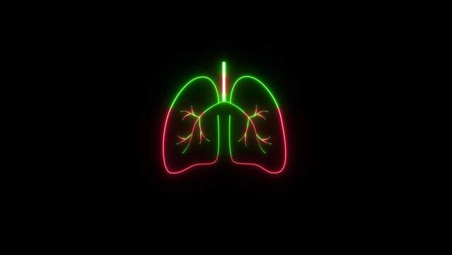Neon glowing digital anatomy of human lungs icon 4k animation. Glowing line Disease lungs icon isolated on black background