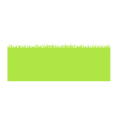 Green grass 