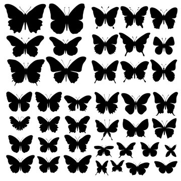 butterfly silhouettes