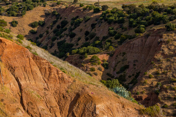Red soil and patch of grass.