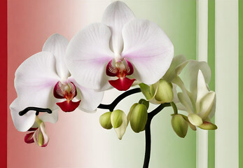 Pink Orchid Flower, 
Elegant Orchid Bloom, 
Delicate Pink Orchid, 
Exotic Orchid Blossom, 
Orchid Petals in Pink