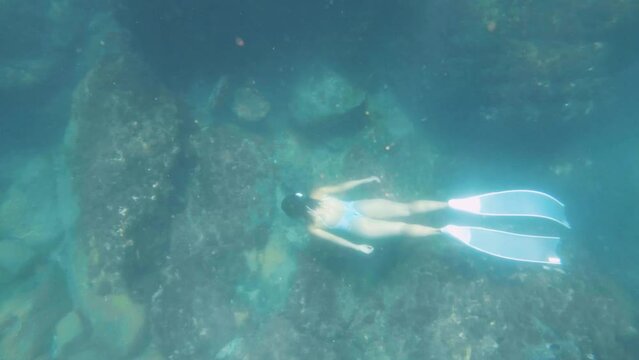 top to bottom back view to a young asian female free diver wearing long fins white swim suit and snorkel mask swimming around the bottom seabed with coral rocks algae underwater formation in the ocean