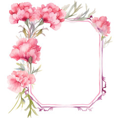 Beautiful Carnation Blooming Flower Frame