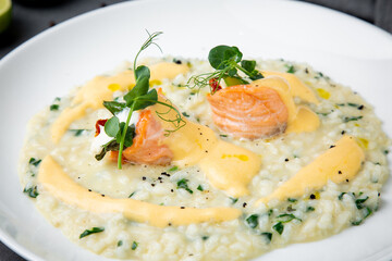 beautifully served porridge with egg and herbs side view