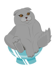 Cute gray cat sitting in a blue bowl. Vector illustration.