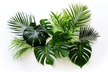 Close-up of various fresh green foliage, including large monstera leaf, creating natural patterns on white canvas.