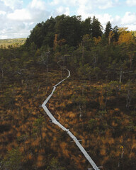 path way leading to autumn trees in a national park here in Finland.