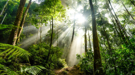 untouched rainforest in fog and backlight, AI generated - obrazy, fototapety, plakaty