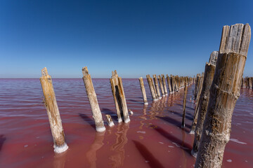 Red salk lake on the Crimean peninsula . 