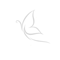 Butterfly line art style for background. Butterfly illustration with line art style.	
