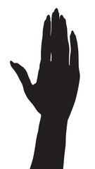 Vector silhouette of a hand on a white background, hand palm, hand silhouette, black flat hand vector illustration