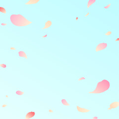 背景素材_花吹雪_桜