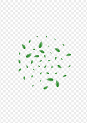 Light Green Sheet Background Transparent Vector. Plant Realistic Texture. Growing Illustration. Green Style Frame. Greenery Fresh.