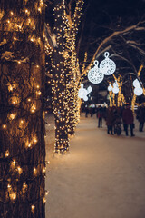 illuminated trees in park at winter holiday time