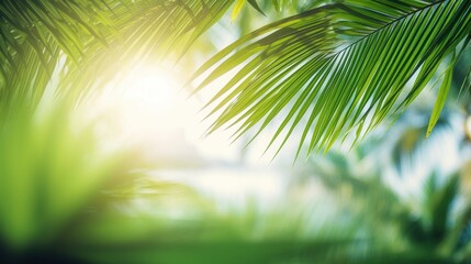 Naklejka premium Blur beautiful nature green palm leaf on tropical beach with bokeh sun light wave abstract background