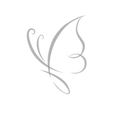 Butterfly line art style for background. Butterfly illustration with line art style.