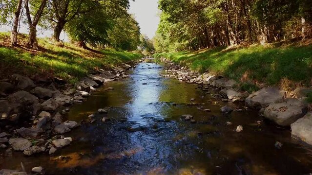 River with stones and trees byside