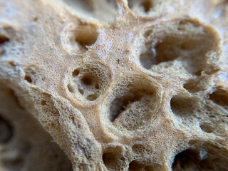 Macro shot of soil or dry leaves
