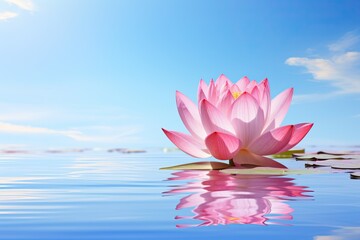 close-up the pink lotus flower on the lake with reflection