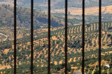 Mirador sobre los campos de olivos en Casarabonela, provincia de Málaga