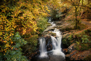 Fototapeta na wymiar Torc Waterfall, Killarney National Park,Kerry, Ireland 