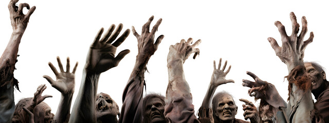 Zombies hands on transparent background