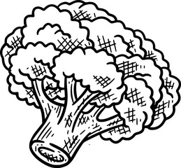 Vegetable Illustration