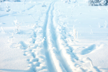path for skiers, ski track in winter in deep snow