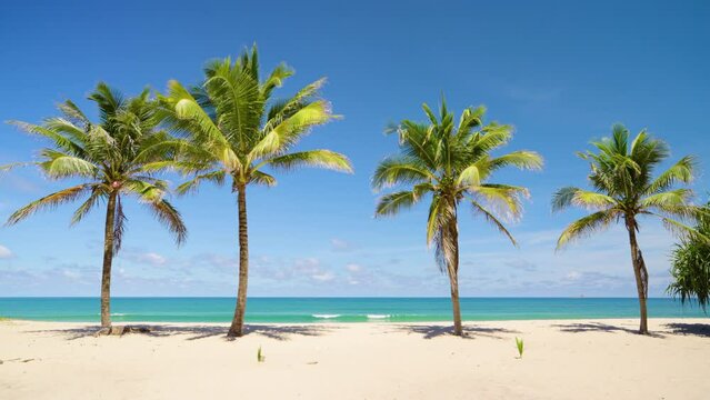 Coconut trees view beach panorama. Scene sumer beach blue sky seascape ocean. Copy space.