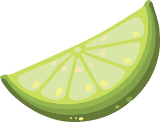 Lime slice illustration