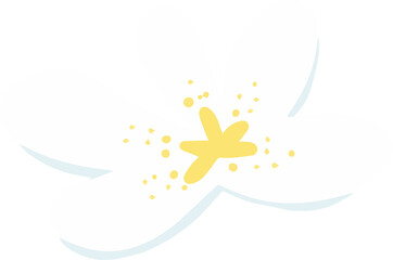 Jasmine flower illustration