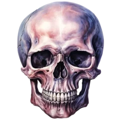 Poster Crâne aquarelle Skull watercolor design with transparent background, PNG illustration