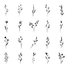 Obraz premium Set of leaf and flower silhouette