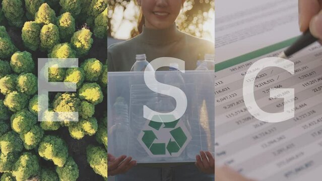 Collage of ESG ethical Save the planet earth nature forest tree, future growth go green people in Net zero waste SDGs Eco friendly world, carbon offsets price report KPI global low CO2 emission issues