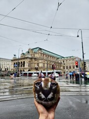 Big floppa plushie in Vienna, Austria