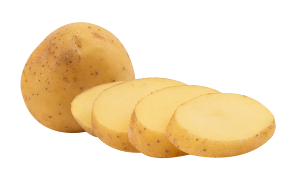 Potato or Solanum tuberosum on transparent background.