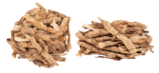 Dired Calamus Flargoot or Acorus calamus roots on transparent background.