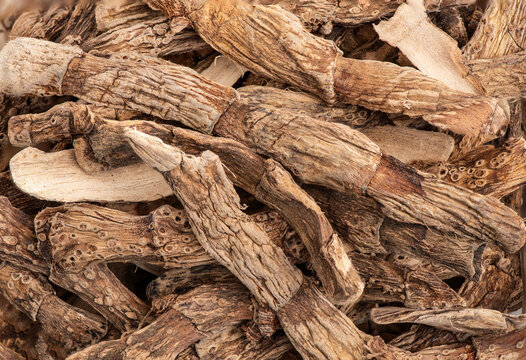 Dired Calamus Flargoot or Acorus calamus roots background.