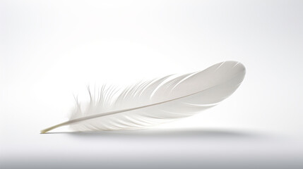 a beautiful white feather on an even whiter background