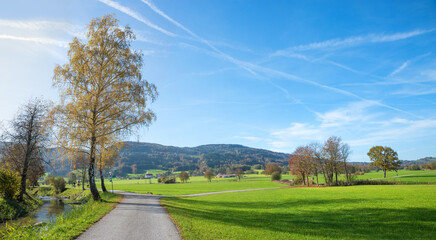 Fototapeta na wymiar bike path Auer Weitmoos, Bad Feilnbach, green bavarian landscape