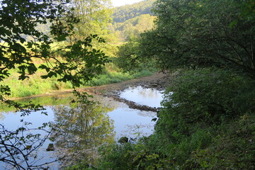 Fototapeta na wymiar Wasser der Donau fließt in Immendingen. Hinter dem Steinwall kommt nur wenig an. Das liegt an der Donauversinkung, durch die Wasser im Karstgestein versickert.