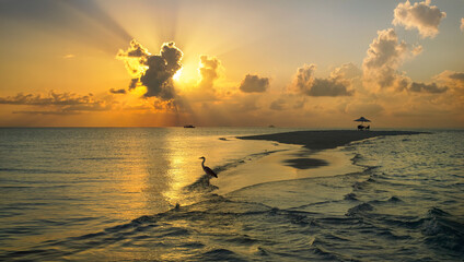 Sunset over a sandbar in South Ari Atoll in the Maldives - Indian Ocean