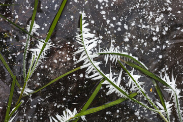 Ice and frost on frozen grass