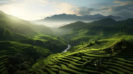 Poster Terraced rice fields of traditional farming village in green mountains © Rangga Bimantara
