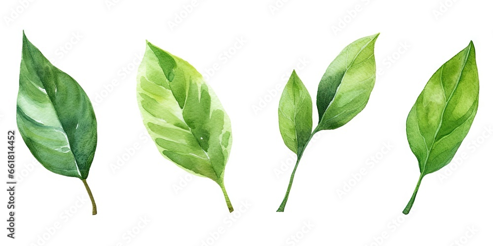 Sticker Lush green leaves. Natural beauty in spring. Botanical elegance. Leaf in summer. Close up of fresh foliage in great outdoors. Illustration of bright elements